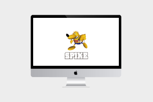 ミスタースパイク